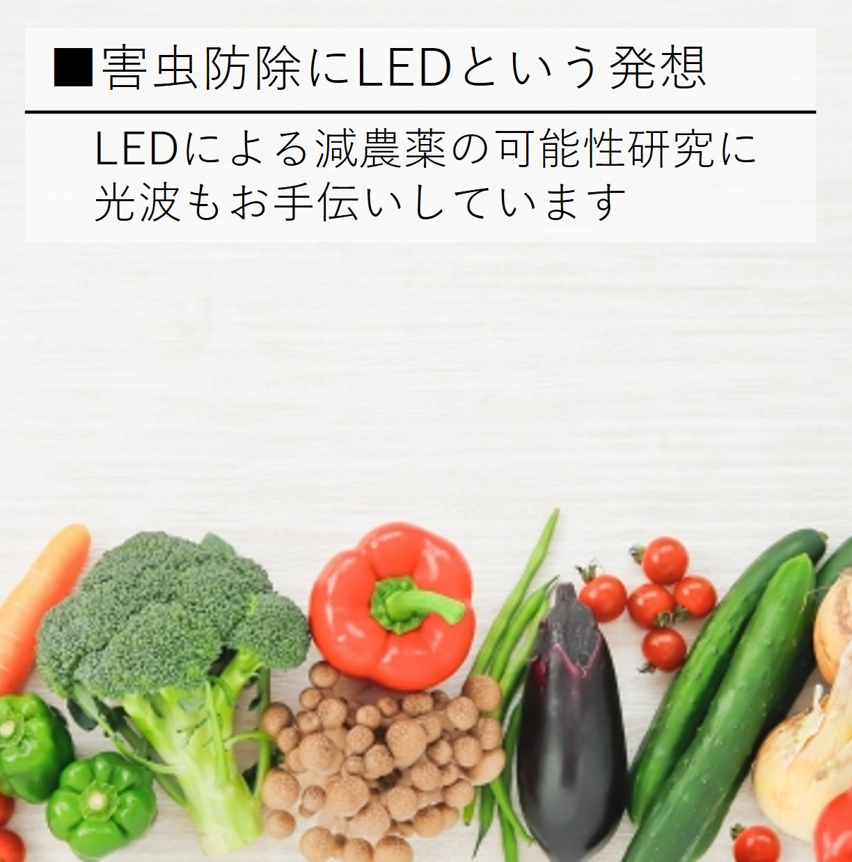 LEDによる減農業の可能性 害虫防除にLEDという発想