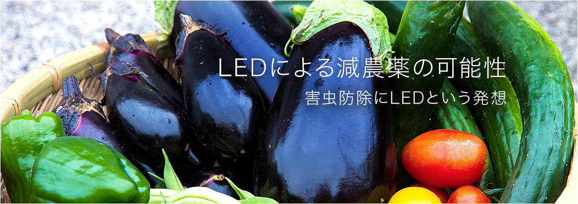 LEDによる減農薬の可能性